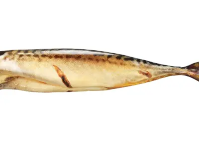 Smoked mackerel Low-poly 3D model