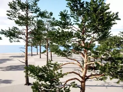 Trees Pack Free low-poly 3D model