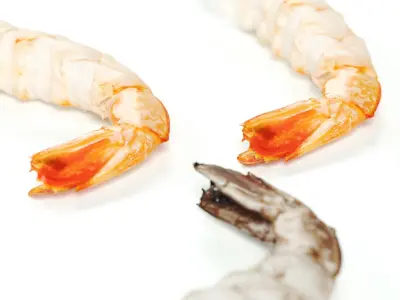 polypasta - shrimp 01 - peeled 3D model