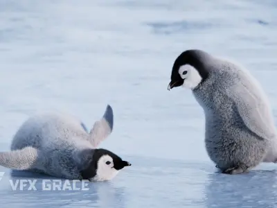 Baby Emperor Penguin Animated VFX Grace 3D model