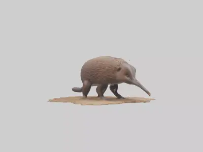 Echidna burrowing model Low-poly 3D model