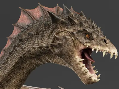 Dragon No Rig 3D model