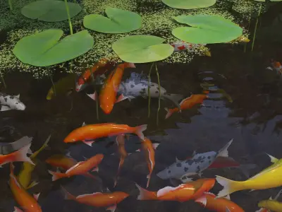 Lotus and Koi Fish Pond 02 Low-poly 3D model