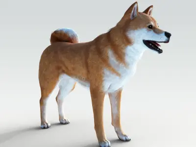 Dog Shiba Ini with Fur - Rigged Low-poly 3D model
