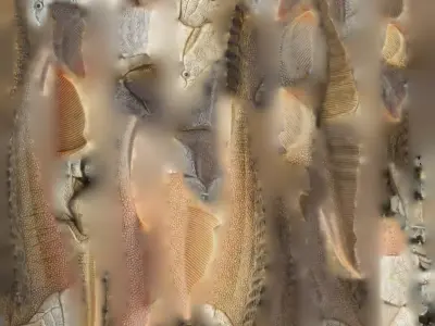 plesiosaurus group of fish and shells Free 3D model