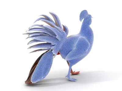 Vibrant Pheasant model pack Low-poly 3D model