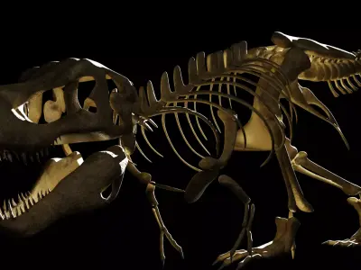 T-REX SKELETON Low-poly 3D model