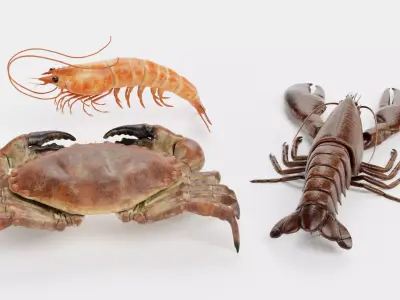 Shrimp Crab Lobster - Crustacean Collection 3D model