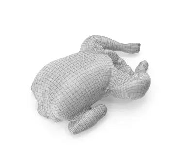 Raw Chicken seasoned with sage - 4K textures 3D model