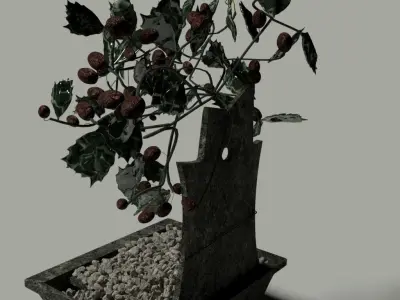 Ceramic Bansai Free 3D model