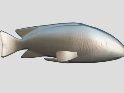 Labeotropheus Trewavasae Realistic Animated Low-poly 3D model