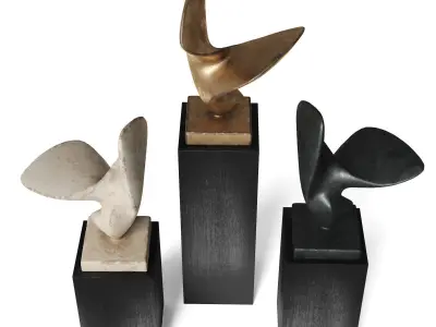 Bird wings figure 3D model