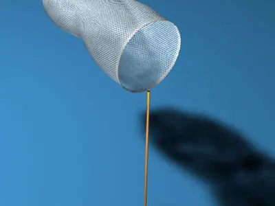 Butterfly net 3D model