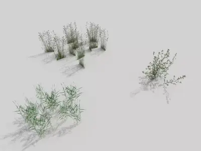 grass pack Low-poly 3D model