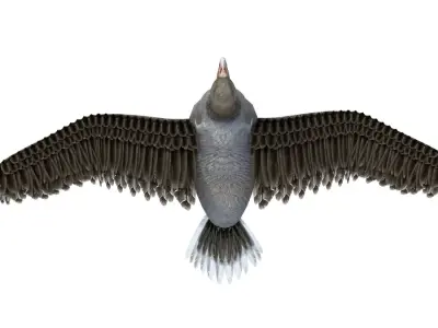 Goose Bird Rigged 3d model Free 3D model