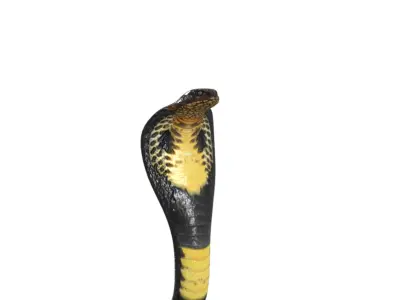 King Cobra Black Snake Low Poly Realistic 3D model