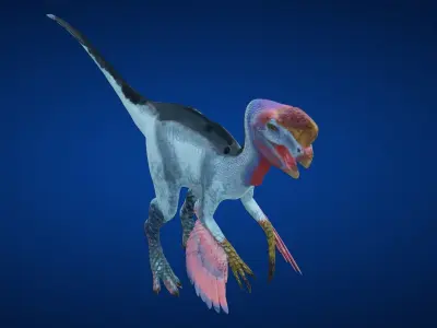 Oviraptor dinosaur Low-poly 3D model