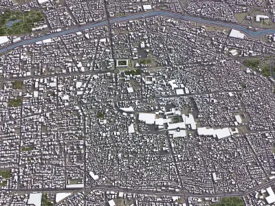 Shiraz Low-poly 3D model