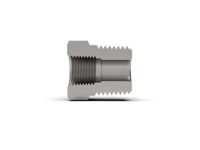 Pipe bushing reducer NPT collection 3D model