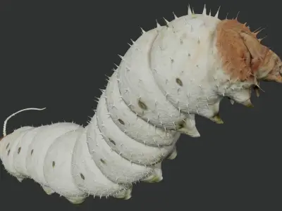 Silkworm fully rigged 3D model