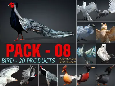 Pack-08 Bird 3D model