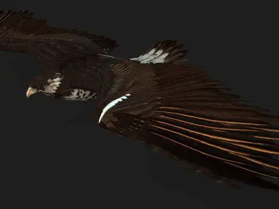 Eagle V1E 3D model