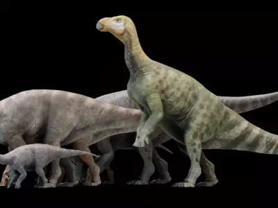 Iguanodon Asset Pack Low-poly 3D model