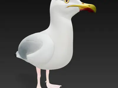 Seagull 3D Model Basic - Low Poly Simple Low-poly 3D model