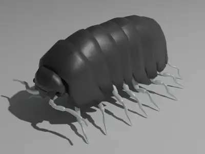 Pillbug or Rolleypolley Low-poly 3D model