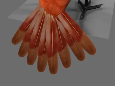 Munia Rigging and Animation 3D model