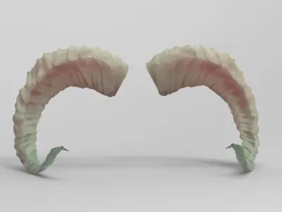 Sheep horns 3D 3D model