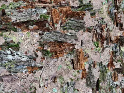Rotten Tree trunk broken in forest 3d photorealistic scan 3D model