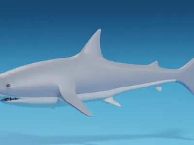 Cartoon Great White Shark 3D model