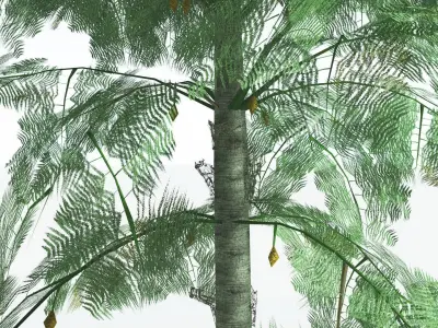 EVERYPlant Alethopteris Seed Fern LowPoly 2 --12 Models-- Low-poly 3D model