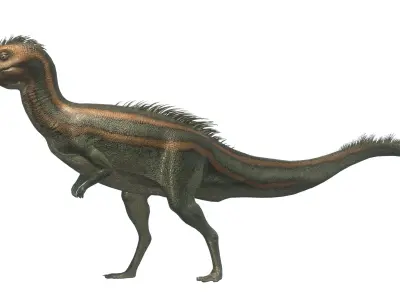 Dryosaurus Asset Pack Low-poly 3D model