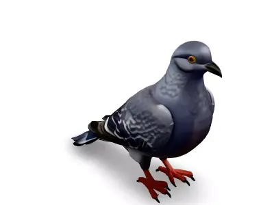 Realistic Pigeon 3D Model Low-poly 3D model