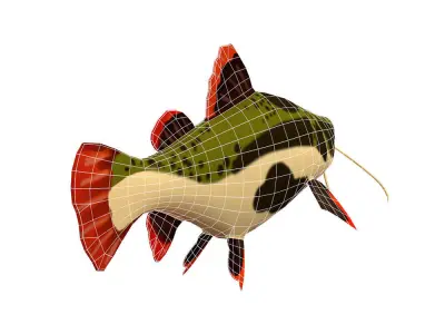 Red Tail Cat Fish Cartoon Animated Low-poly 3D model
