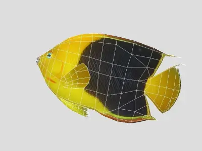  Angelfish rock Low-poly 3D model