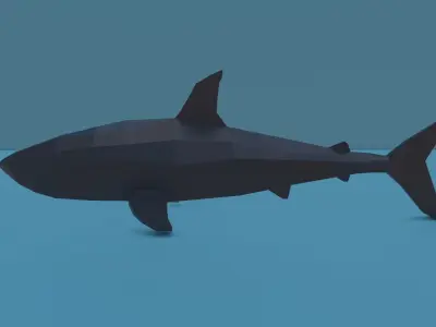 Bull shark Free low-poly 3D model