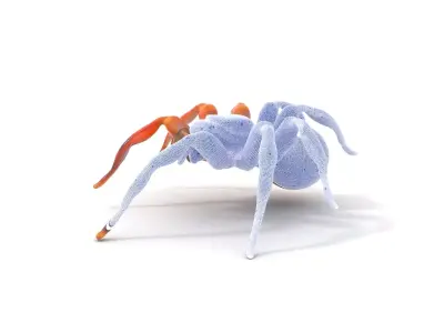 Golden Arachnid model pack Low-poly 3D model
