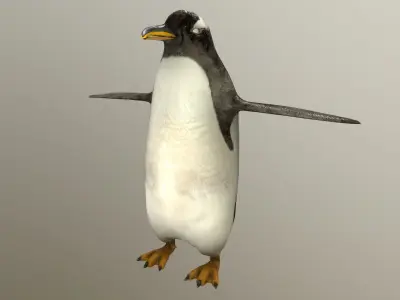 Penguin Gentoo - Antartic Low-poly 3D model