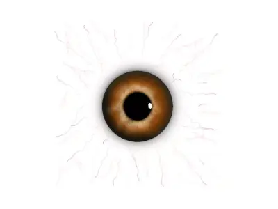Eye Model Free low-poly 3D model