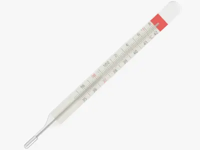 Medical Mercury Thermometer 3D model