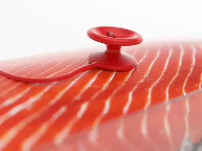 Salmon fillet 3D model