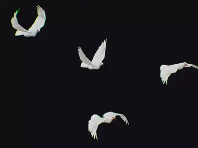 Dove Flock White Bird Animated Swarm Shoal Birds Lowpoly Doves Low-poly 3D model