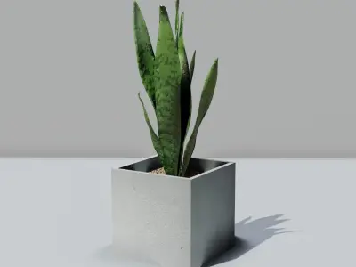 pot plant Free low-poly 3D model