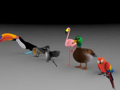 Bird Group Parrot Toucan Robbin Duck Hummingbird 3D model