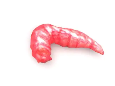 Red Maggot 3D model
