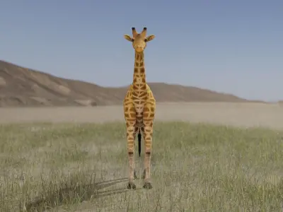 Giraffe Low-poly 3D model
