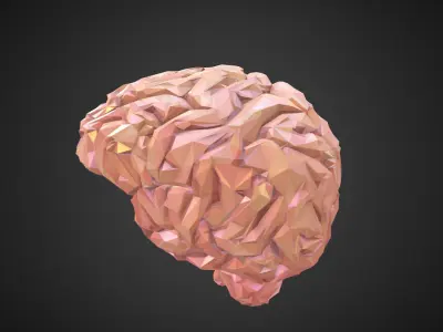 Brain Real Low Polygon Art Medical Low-poly 3D model